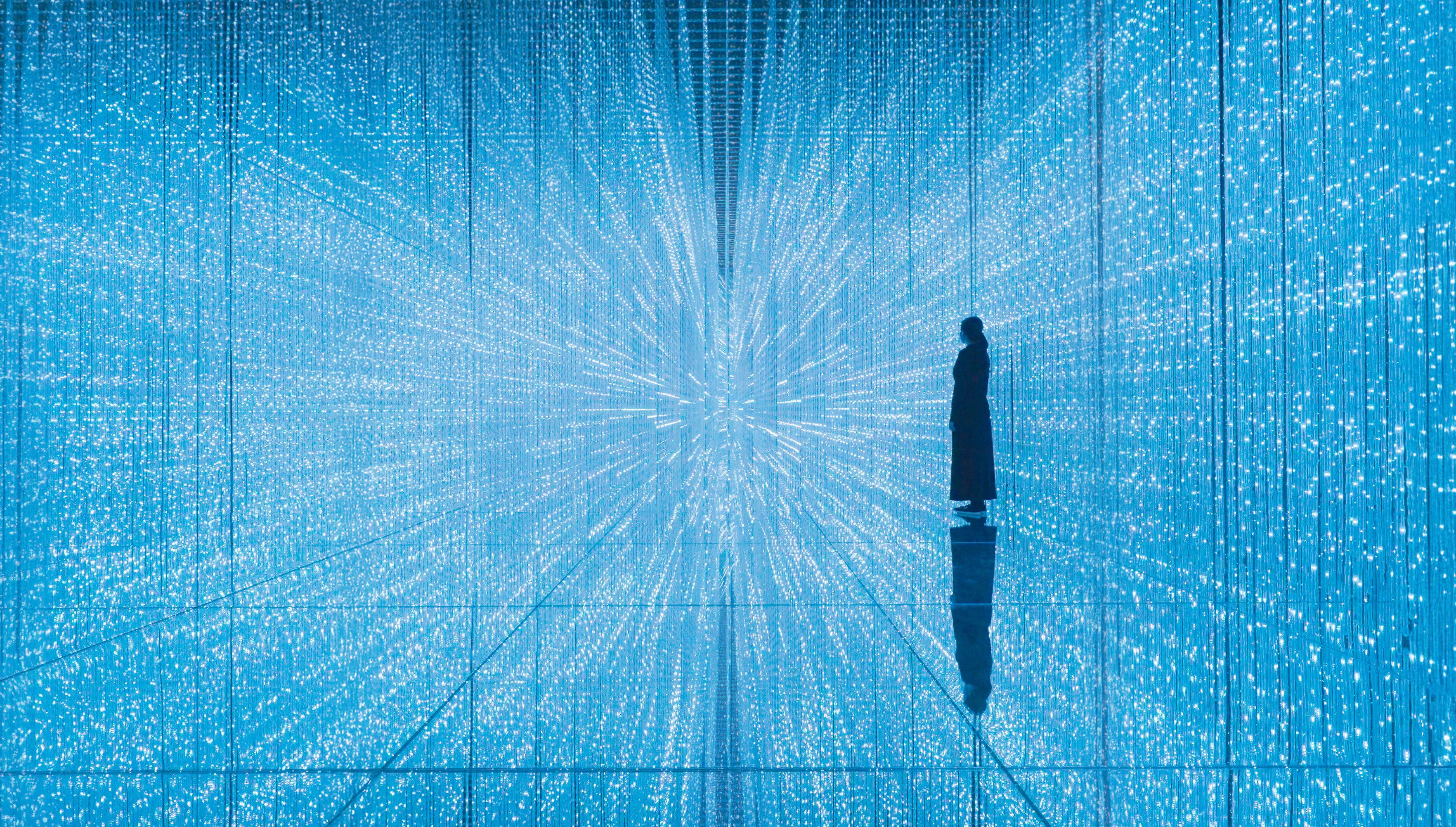 Future World: Where Art Meets Science, teamLab, ArtScience Museum